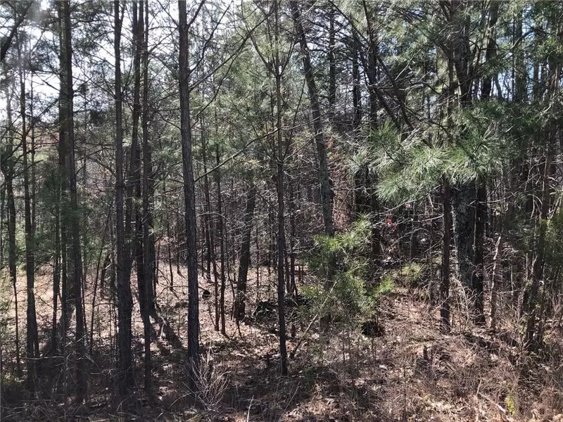 Lot 2 Settler's Ridge DR, Ball Ground, GA 30107