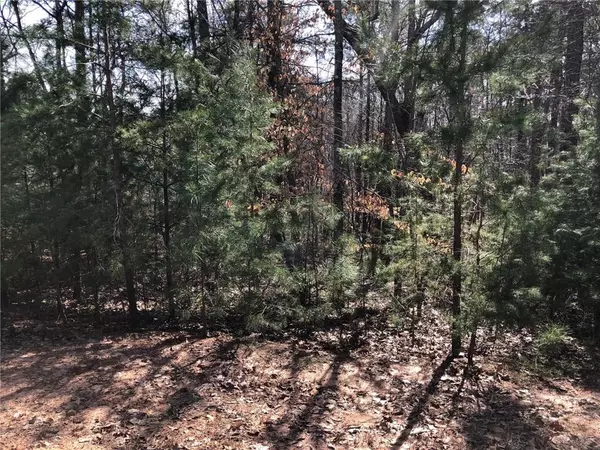 Ball Ground, GA 30107,Lot 4 Settler's Ridge DR