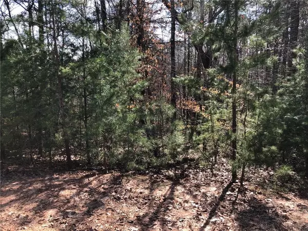 Ball Ground, GA 30107,Lot 4 Settler's Ridge DR