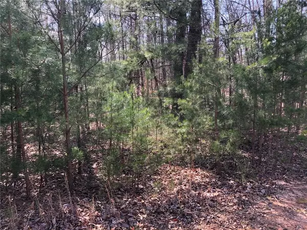 Ball Ground, GA 30107,Lot 5 Settler's Ridge DR