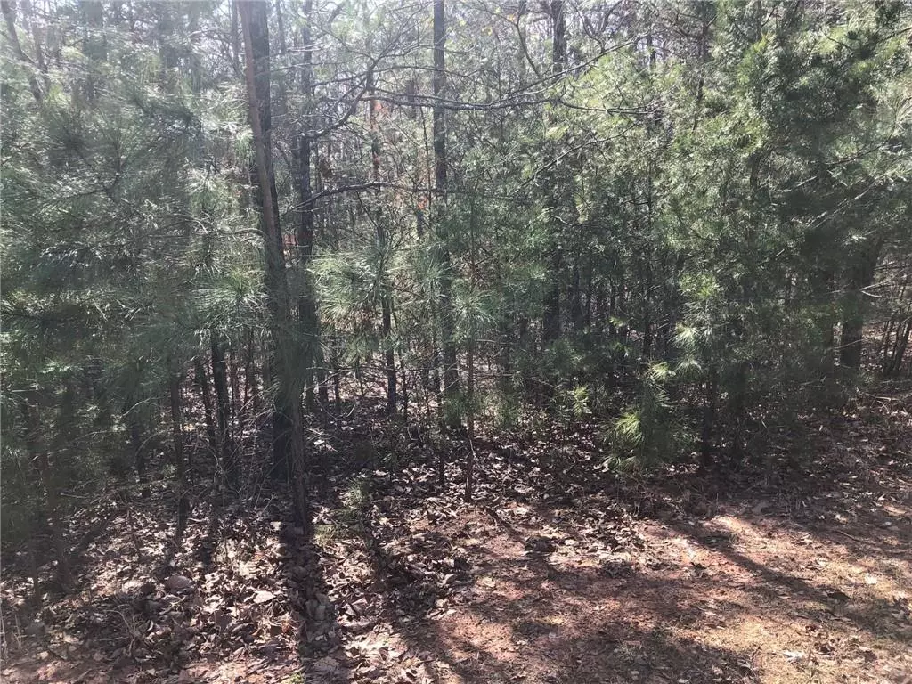 Ball Ground, GA 30107,Lot 5 Settler's Ridge DR