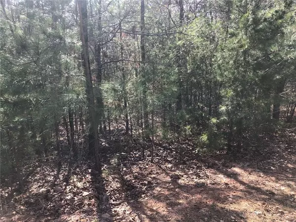 Lot 5 Settler's Ridge DR, Ball Ground, GA 30107