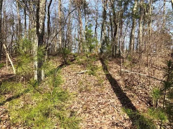 Ball Ground, GA 30107,0 Lot #22 Settler's Ridge DR