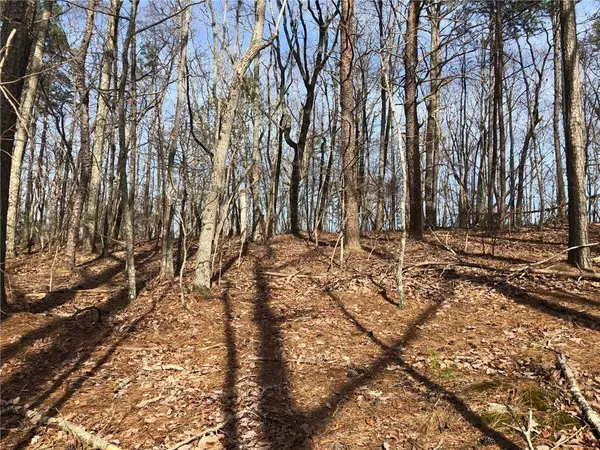 Lot 23 Settler's Ridge DR, Ball Ground, GA 30107