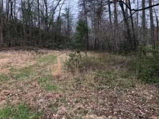 Dahlonega, GA 30533,00 Nimblewill Gap RD