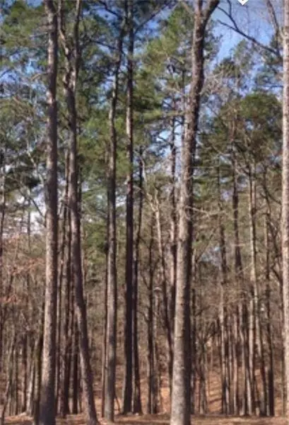 Greensboro, GA 30642,1020 Wrayswood CIR