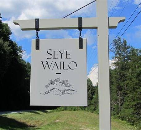 0 Seye Wailo TRL, Clarkesville, GA 30523