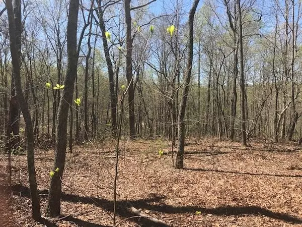 Talking Rock, GA 30175,01 Price Creek TRL