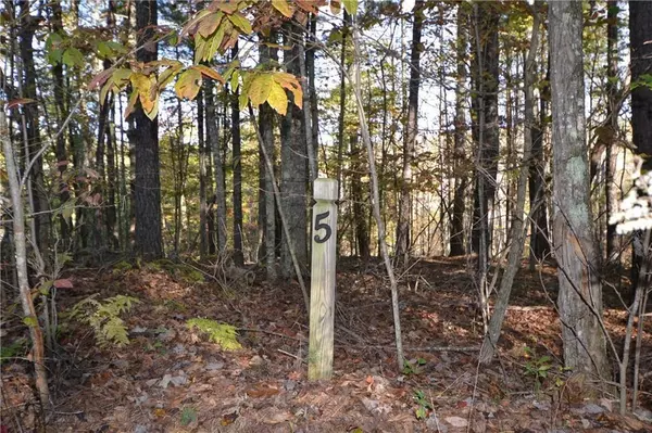 Blairsville, GA 30512,5,6 Courtney LN