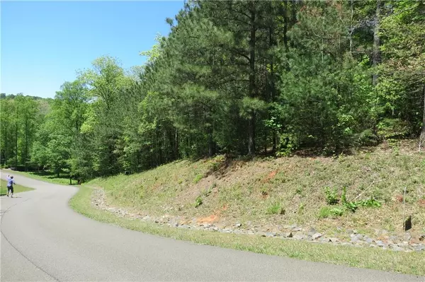 Ellijay, GA 30540,Lot 20 Bridge RD