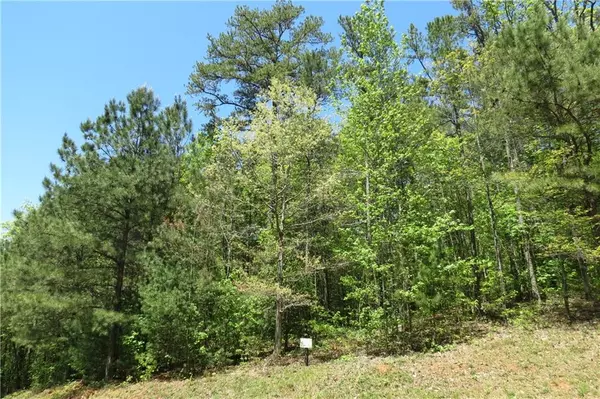 Ellijay, GA 30540,Lot 20 Bridge RD