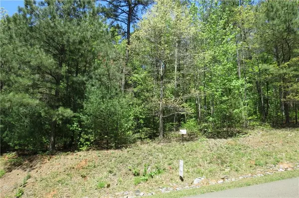 Ellijay, GA 30540,Lot 20 Bridge RD