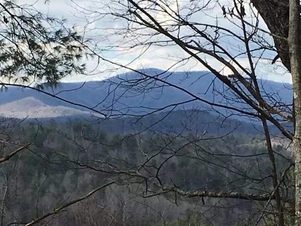 Ellijay, GA 30540,0 Whitepath RD