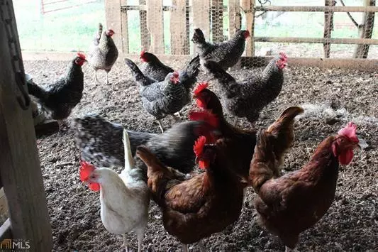 Winder, GA 30680,1724 CEDAR GROVE CHURCH RD