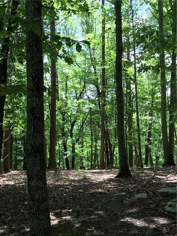 Ellijay, GA 30540,3185 Old Flat Branch RD