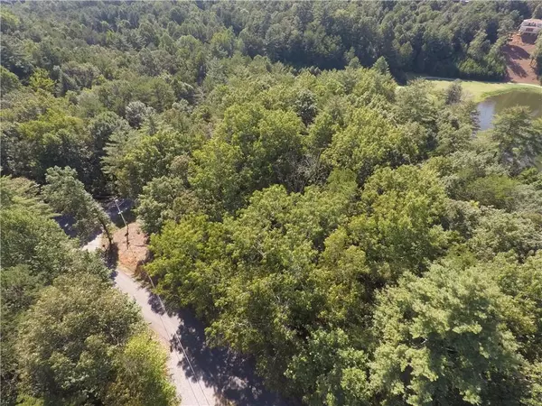 Ellijay, GA 30540,0 Cherokee DR