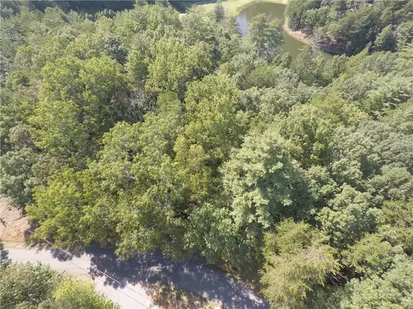 Ellijay, GA 30540,0 Cherokee DR