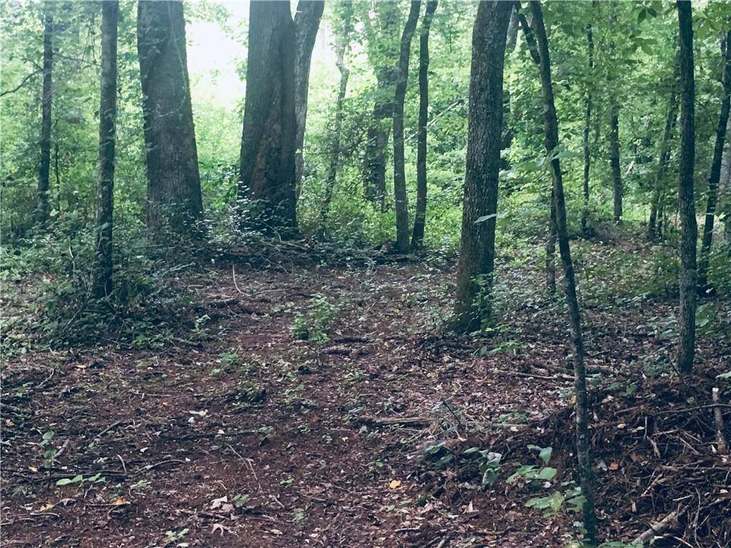 Talking Rock, GA 30175,002 Big Ridge RD