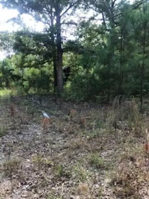 Hoschton, GA 30548,997 Hidden Hamlet CT