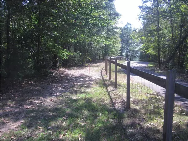 Ball Ground, GA 30107,002 Roy Haynes Drive   Tract #2 DR