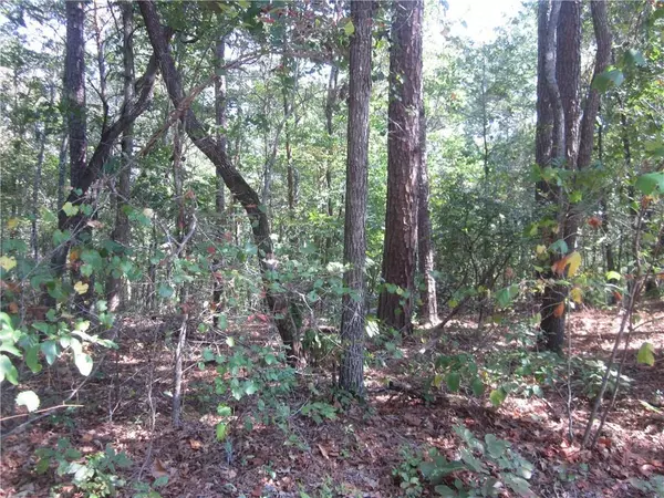 Ball Ground, GA 30107,002 Roy Haynes Drive   Tract #2 DR