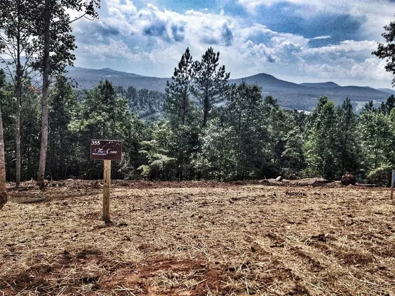 Lot355 The Cove Phase 3 @ 1300, Blairsville, GA 30512