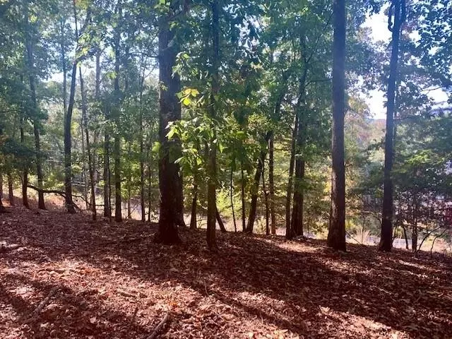 Gainesville, GA 30506,4500 Shoreline DR