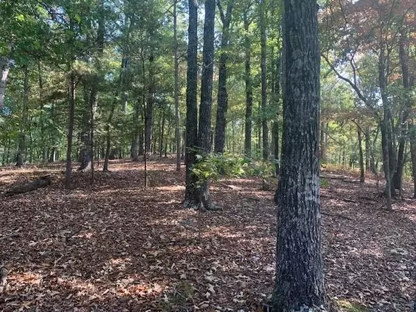 Gainesville, GA 30506,4500 Shoreline DR