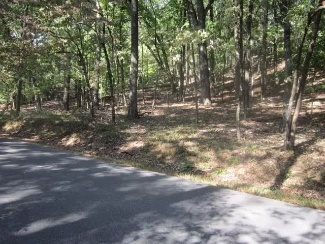 Jasper, GA 30143,1290 Oglethorpe Mountain RD