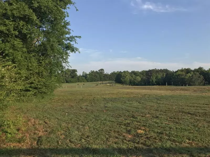 000 McAfee CIR, Ranger, GA 30734