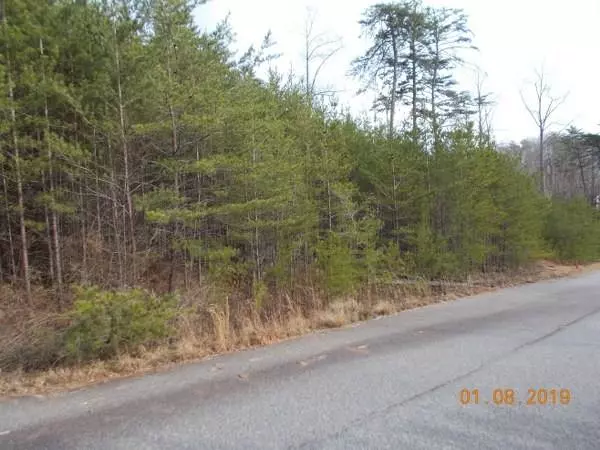 Dahlonega, GA 30533,Lot 2 Huntington PL