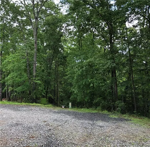 Ellijay, GA 30540,lot 17 Turtle RDG