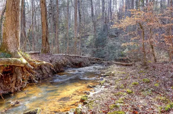 0 Hwy 53 W, Dawsonville, GA 30534