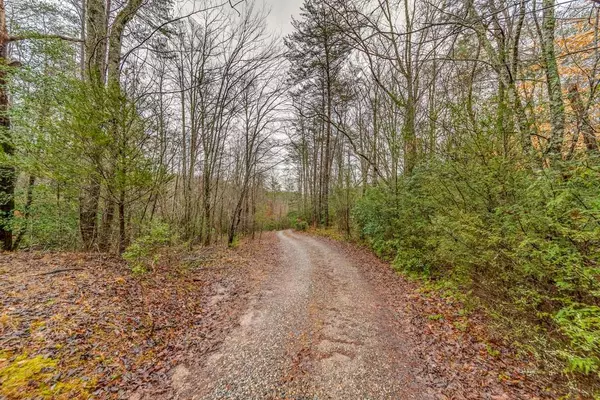 Dahlonega, GA 30533,367 Colonel Farrow RD