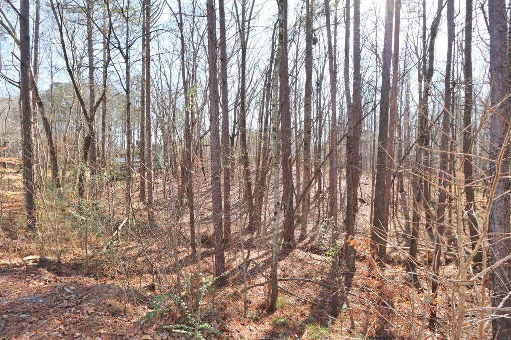 Bremen, GA 30110,0 Cardinal LN