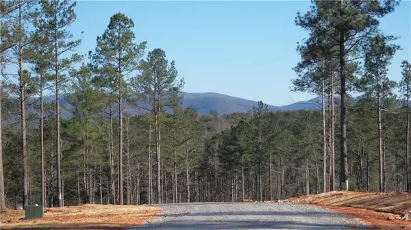 6 Station Gap, Dahlonega, GA 30533