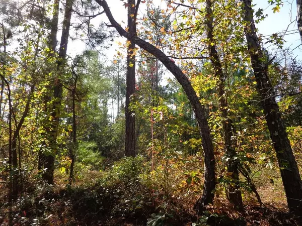 Lithia Springs, GA 30122,0 Rock House RD