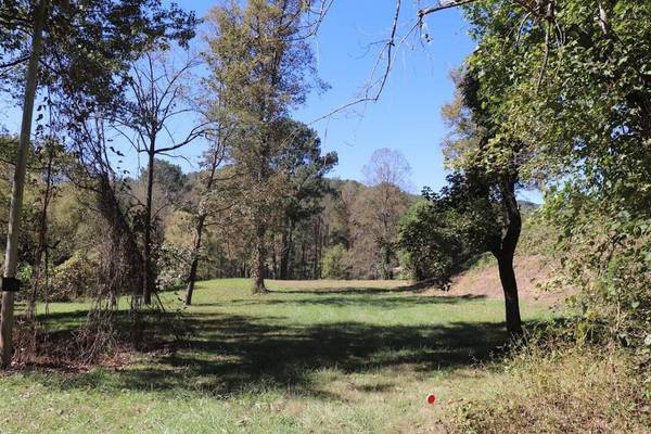 0 Tails Creek RD, Ellijay, GA 30540