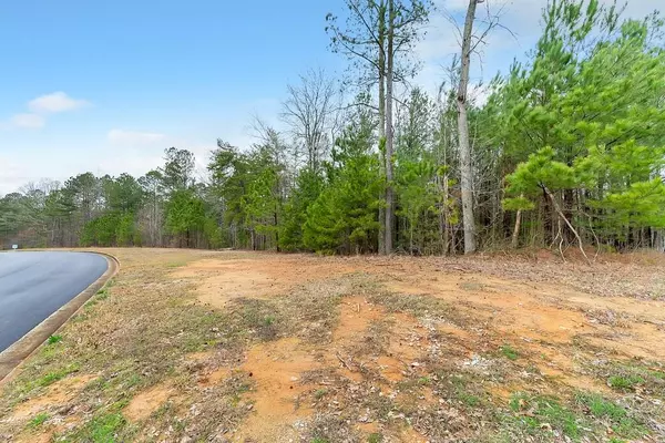 Dallas, GA 30132,Lot 2 Old County Farm RD