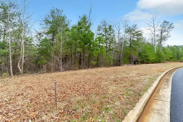 Dallas, GA 30132,Lot 2 Old County Farm RD