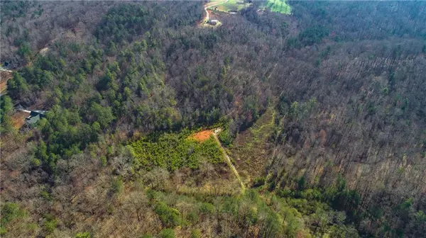 Ellijay, GA 30540,0 Hwy 382