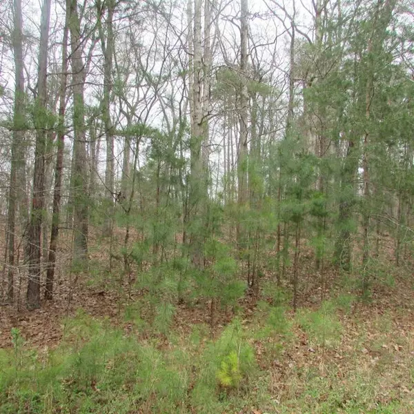 White, GA 30184,Lot 22 Sutallee Ridge CT