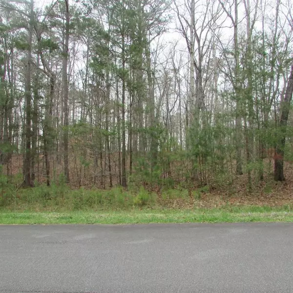 White, GA 30184,Lot 22 Sutallee Ridge CT