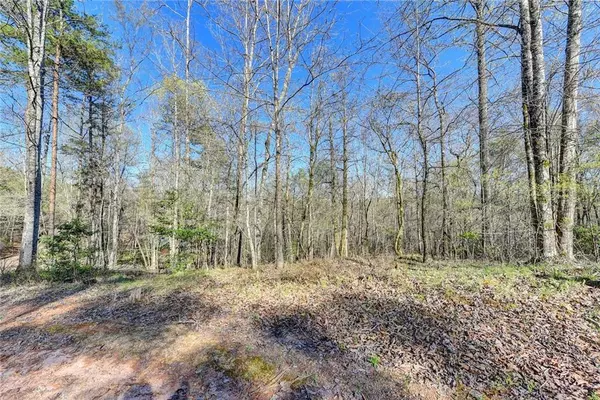 Demorest, GA 30535,0 Peaceful Waters CIR