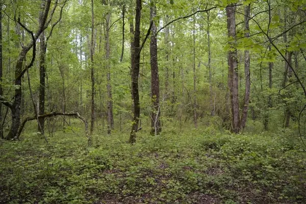 Canton, GA 30115,105 Wyatt RD