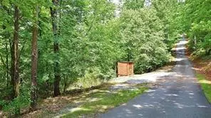 Dahlonega, GA 30533,0 Ranch Mountain DR