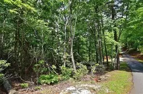 Dahlonega, GA 30533,0 Ranch Mountain DR