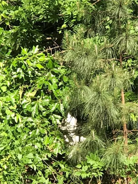 Kennesaw, GA 30152,1450 Kennesaw Due West RD NW