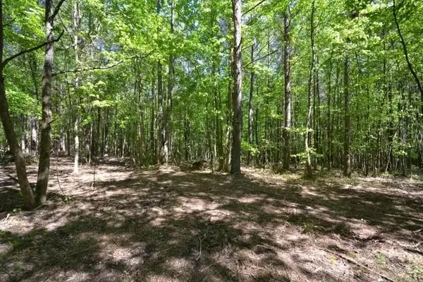 Rockmart, GA 30153,000 Goldmine RD