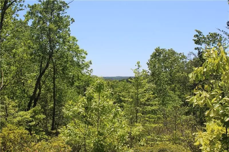 Ellijay, GA 30536,Lot 5 Owl Mountain TRL